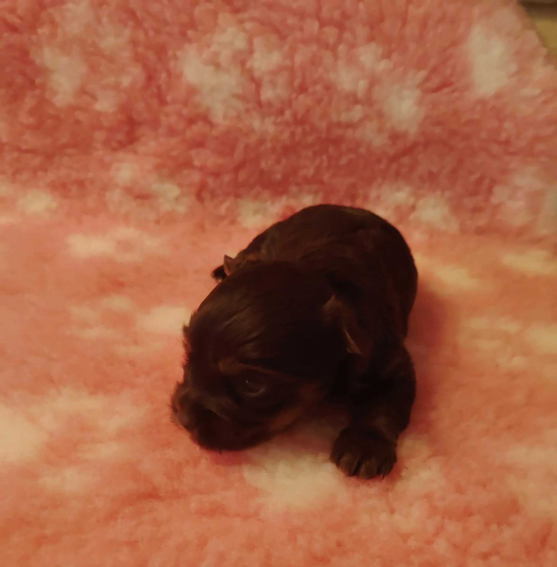 Img 20251030 115943 edit 332334965498951