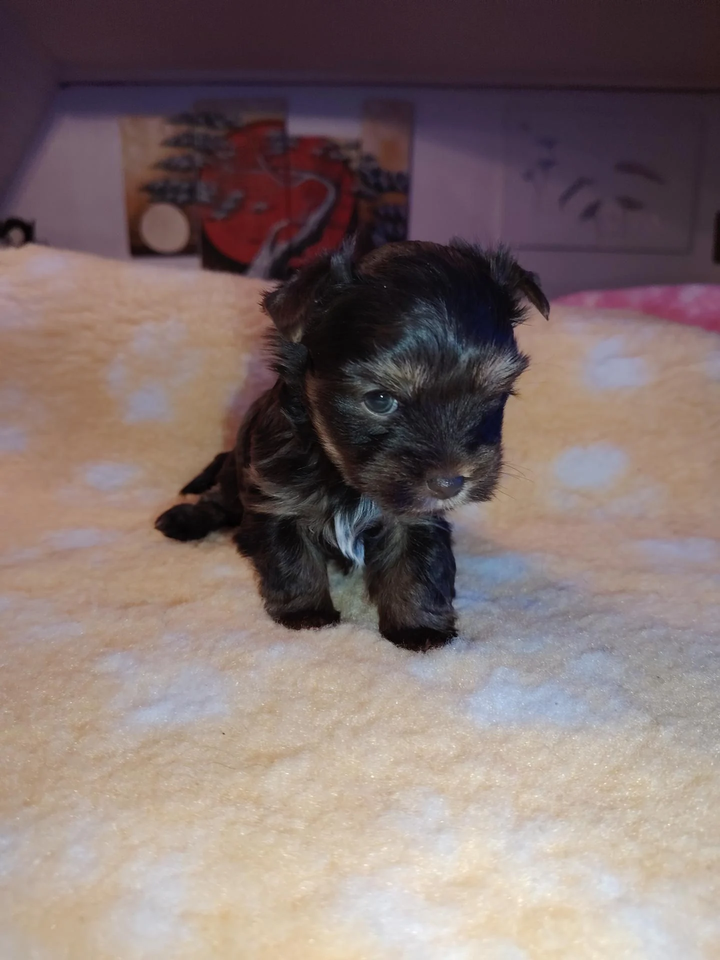 Img 20251116 154825 1