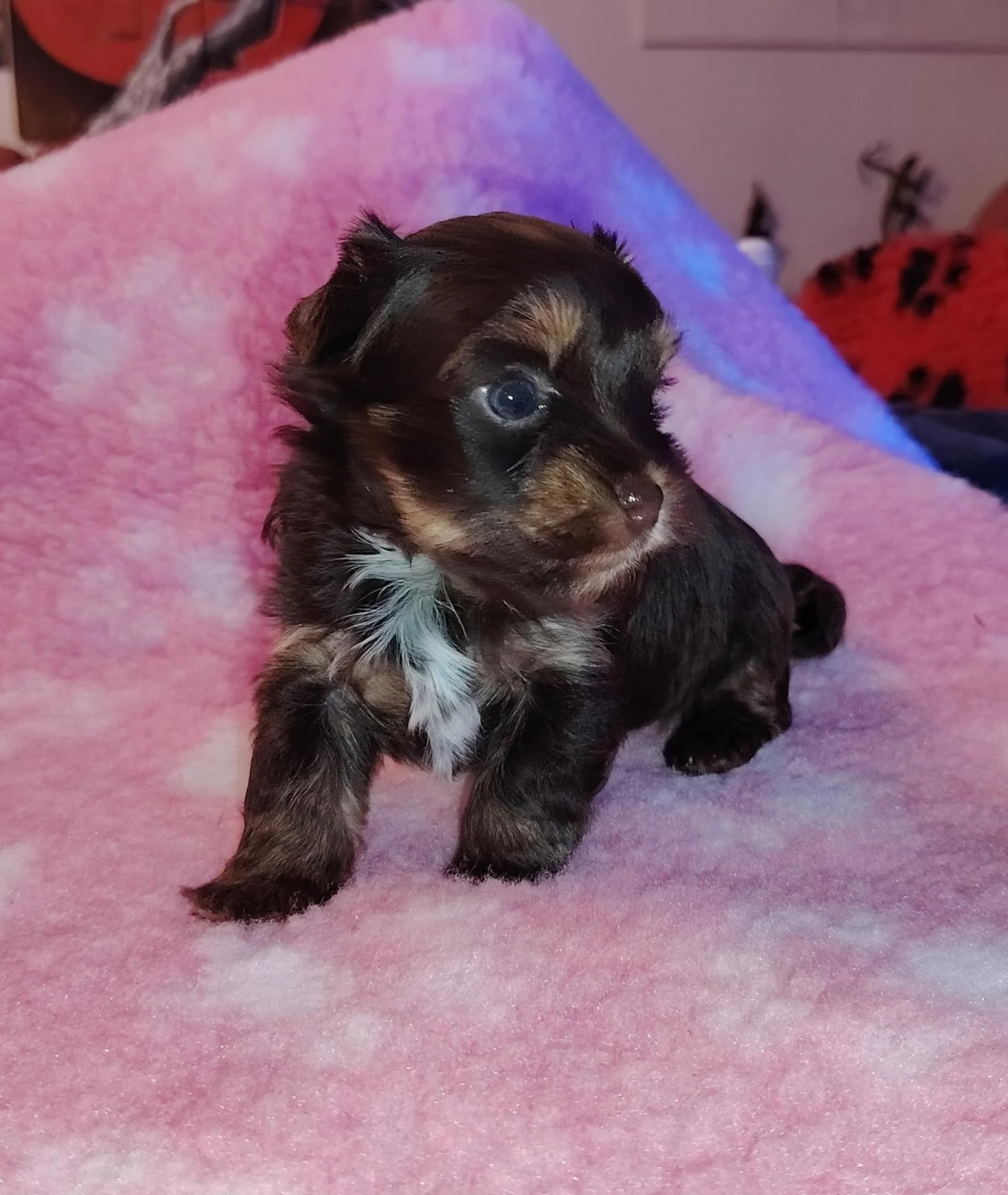 Img 20251116 155112 edit 760887604773438 1